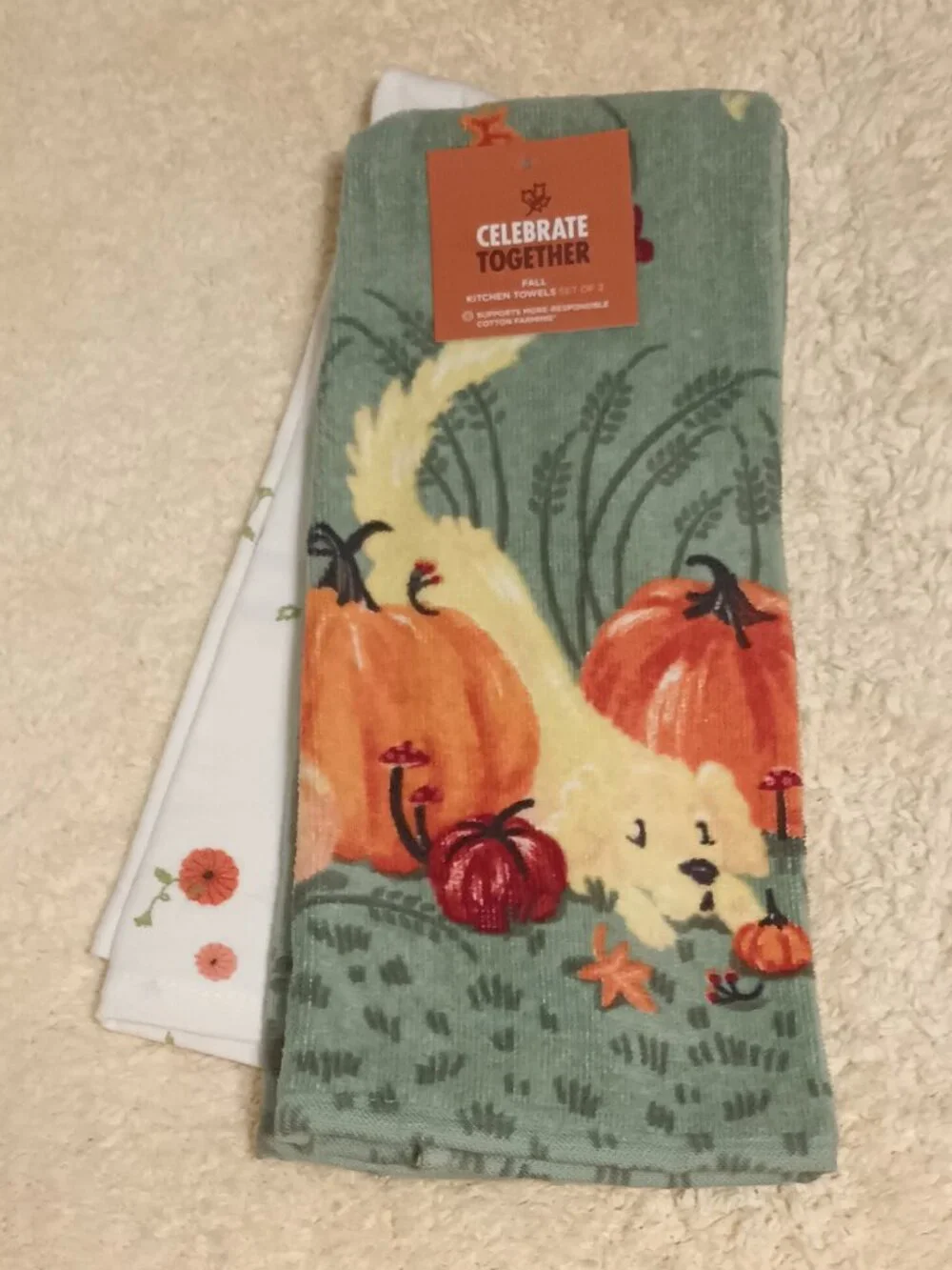 NWT ~ Celebrate Together  Autumn Decorative Kitchen Towels,  Set of 2